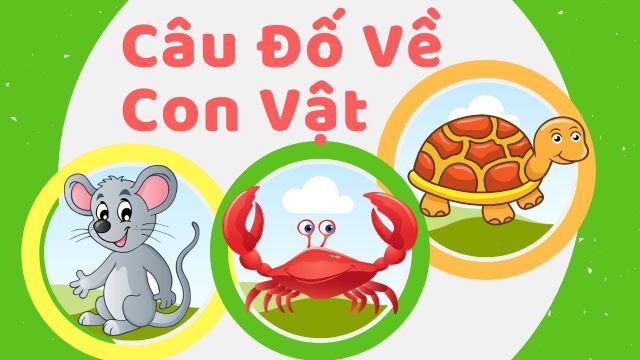 Câu đố vui cho bé mầm non về con vật