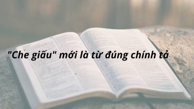 “Che giấu” là từ đúng chính tả tiếng Việt