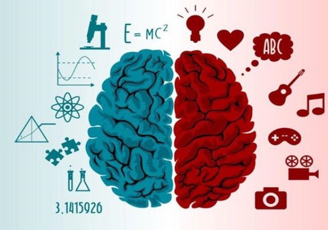 Não trái hay não phải thông minh hơn