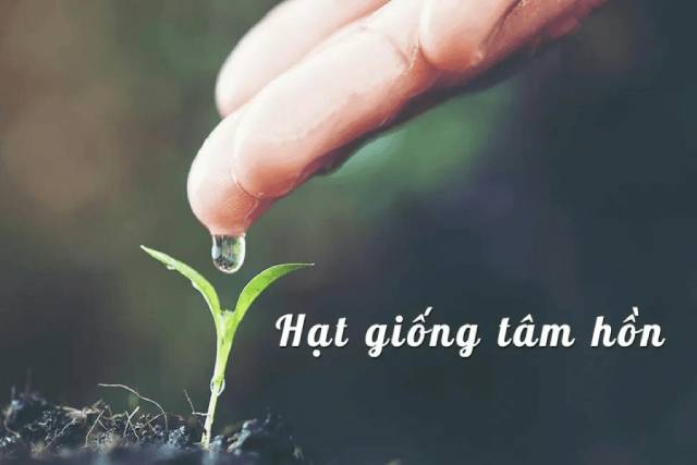 Những trích dẫn sách hạt giống tâm hồn