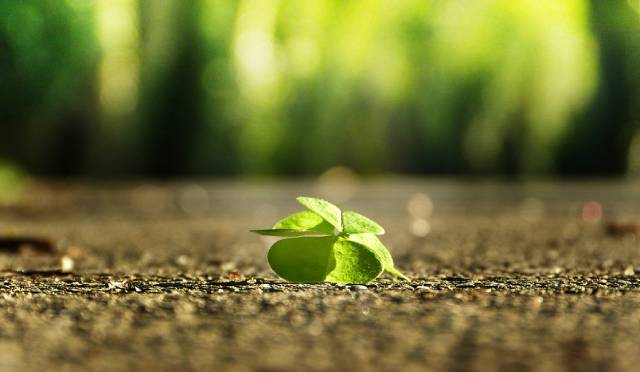 Những trích dẫn hay trong trọn bộ hạt giống tâm hồn