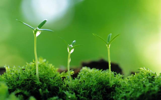 Những trích dẫn hay trong trọn bộ hạt giống tâm hồn