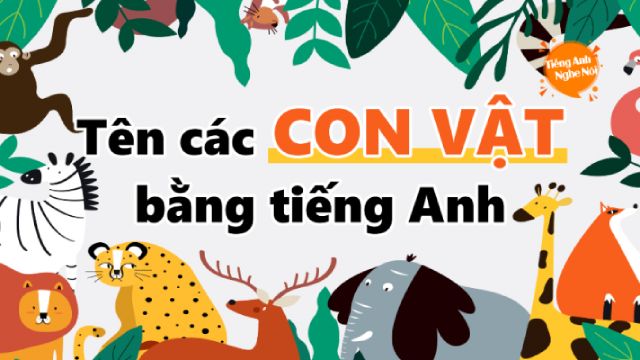 Từ vựng tiếng Anh về tên các con vật thông dụng nhất